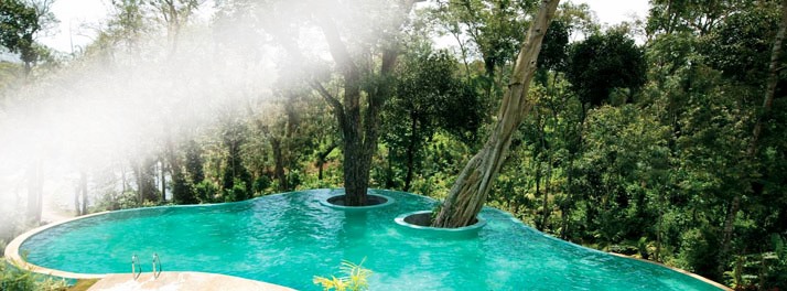 1386/The Windflower Resorts & Spa - Madikeri 08.jpg